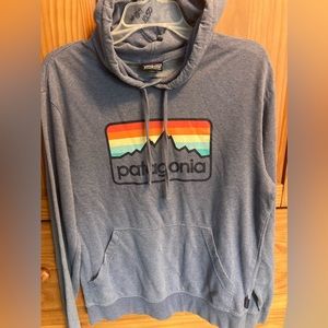 Patagonia hoodie sweatshirt